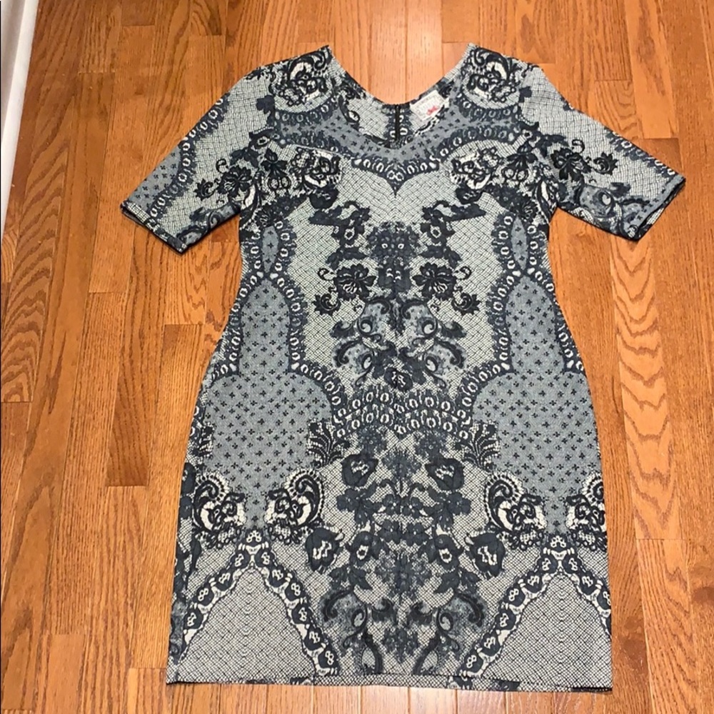 Yoana Baraschi Fleuris Lace Body Sheath Dress